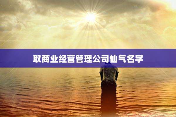 取商业经营管理公司仙气名字