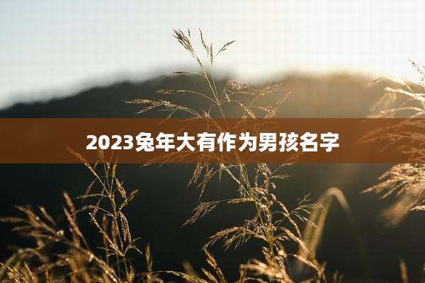 2023兔年大有作为男孩名字
