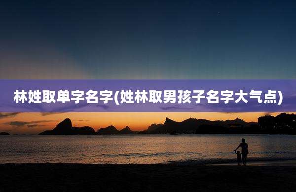 林姓取单字名字(姓林取男孩子名字大气点)