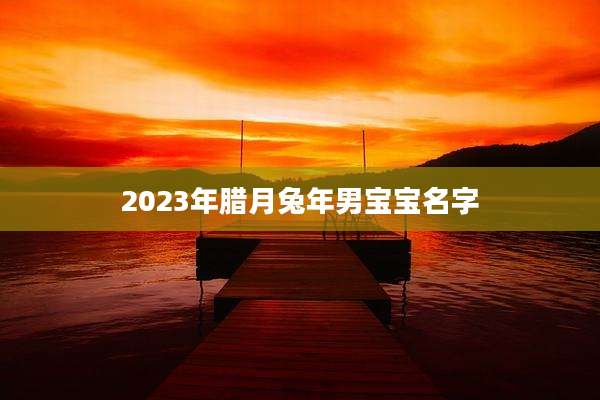2023年腊月兔年男宝宝名字