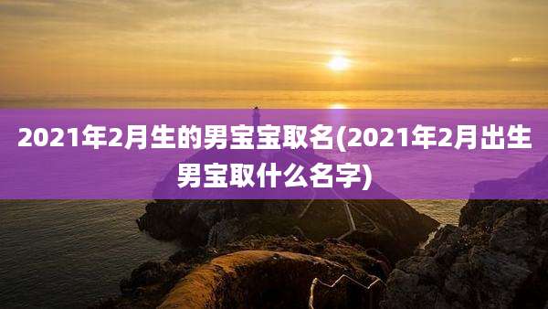 2021年2月生的男宝宝取名(2021年2月出生男宝取什么名字)