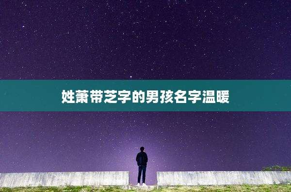 姓萧带芝字的男孩名字温暖