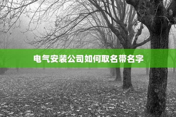 电气安装公司如何取名带名字