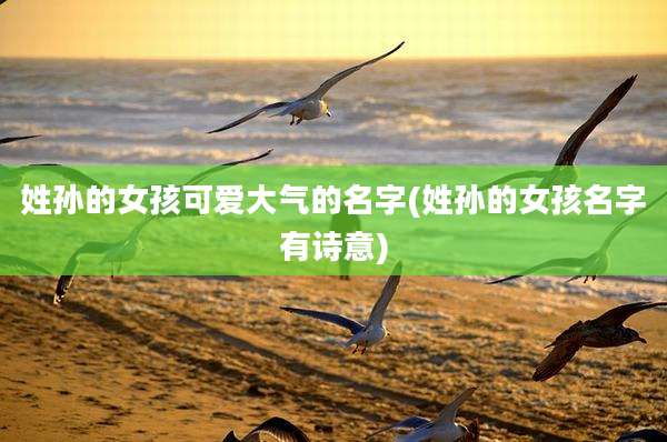 姓孙的女孩可爱大气的名字(姓孙的女孩名字有诗意)