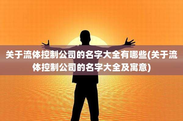 关于流体控制公司的名字大全有哪些(关于流体控制公司的名字大全及寓意)