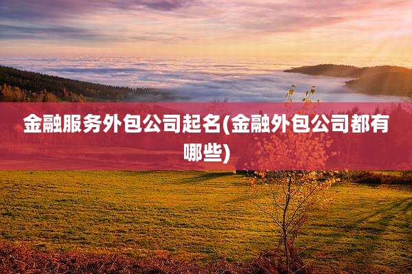 金融服务外包公司起名(金融外包公司都有哪些)