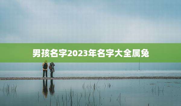 男孩名字2023年名字大全属兔