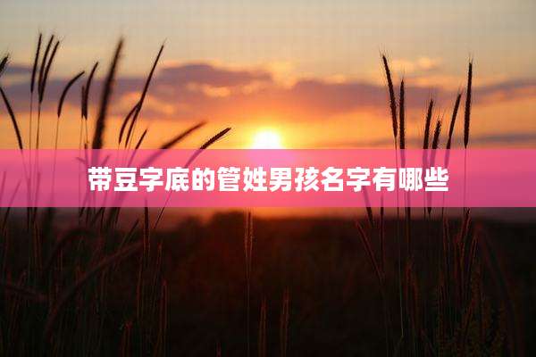 带豆字底的管姓男孩名字有哪些