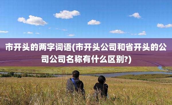 市开头的两字词语(市开头公司和省开头的公司公司名称有什么区别?)
