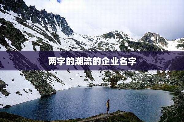 两字的潮流的企业名字