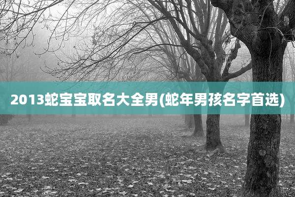2013蛇宝宝取名大全男(蛇年男孩名字首选)
