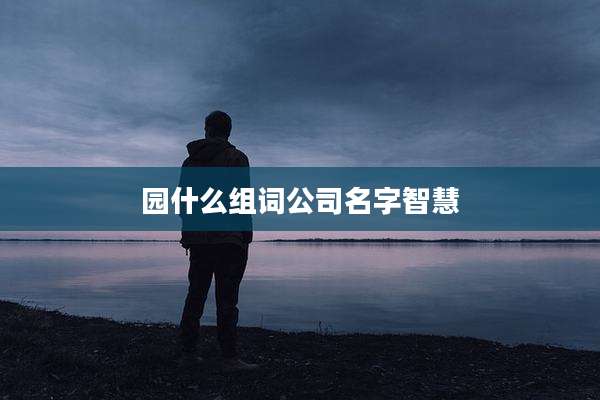 园什么组词公司名字智慧