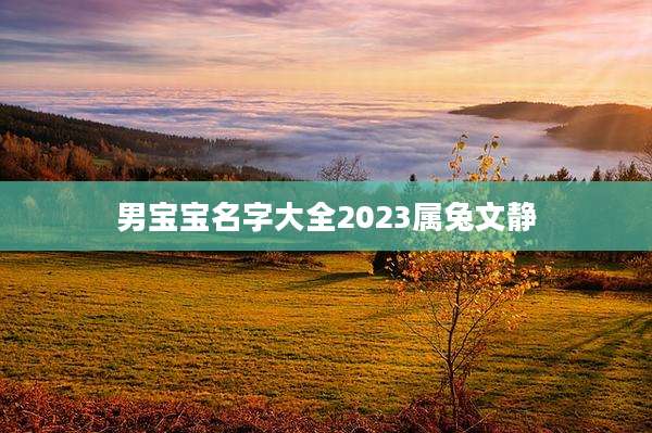 男宝宝名字大全2023属兔文静