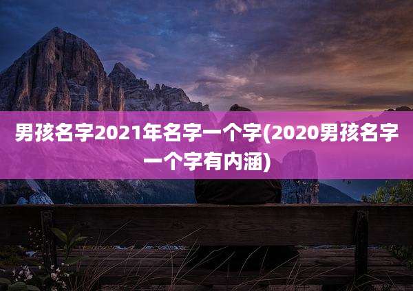 男孩名字2021年名字一个字(2020男孩名字一个字有内涵)