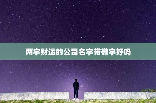 两字财运的公司名字带微字好吗
