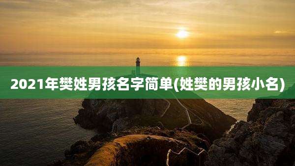 2021年樊姓男孩名字简单(姓樊的男孩小名)