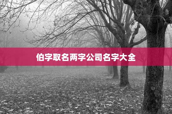 伯字取名两字公司名字大全