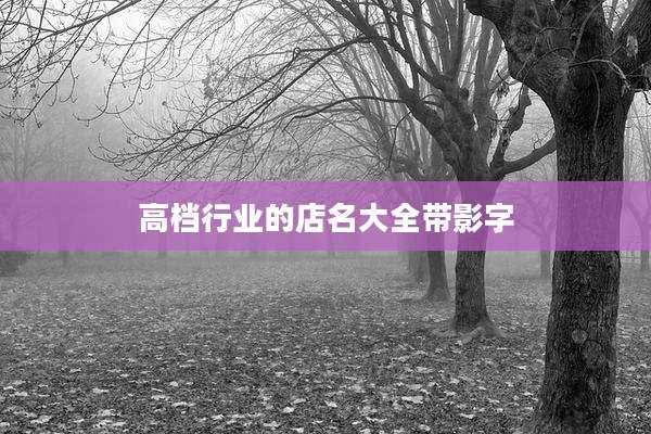 高档行业的店名大全带影字