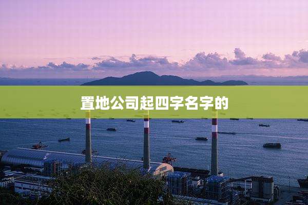 置地公司起四字名字的