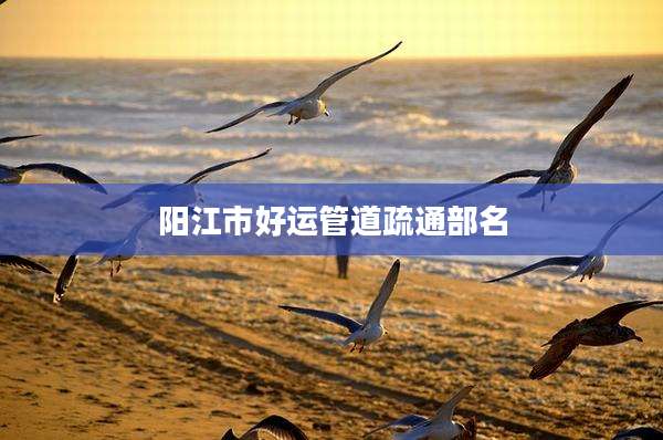 阳江市好运管道疏通部名