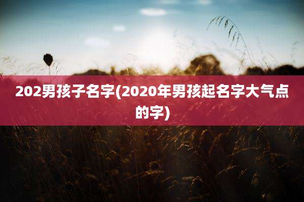 202男孩子名字(2020年男孩起名字大气点的字)