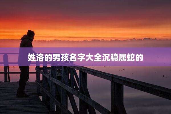 姓洛的男孩名字大全沉稳属蛇的