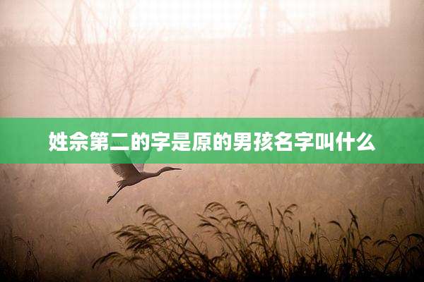 姓佘第二的字是原的男孩名字叫什么