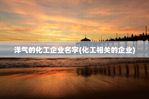洋气的化工企业名字(化工相关的企业)