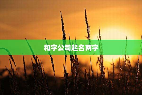 和字公司起名两字