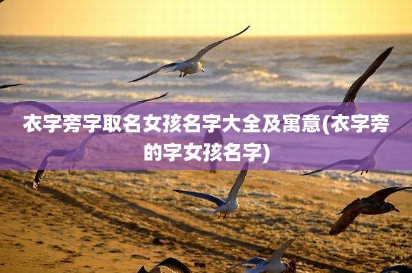衣字旁字取名女孩名字大全及寓意(衣字旁的字女孩名字)