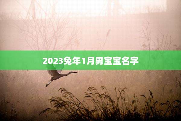 2023兔年1月男宝宝名字