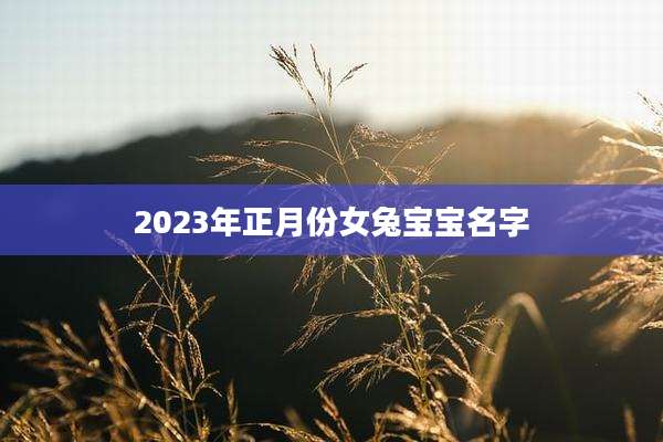 2023年正月份女兔宝宝名字