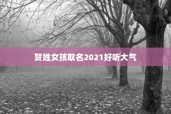 贺姓女孩取名2021好听大气