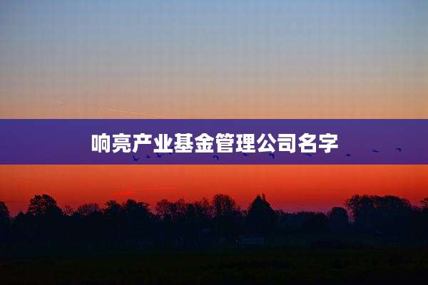 响亮产业基金管理公司名字