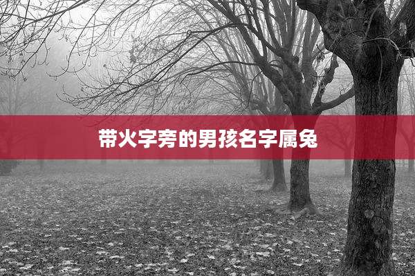 带火字旁的男孩名字属兔