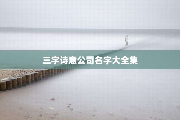 三字诗意公司名字大全集