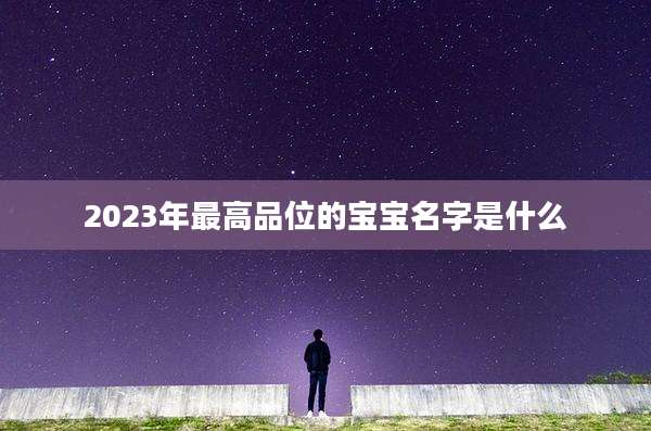 2023年最高品位的宝宝名字是什么