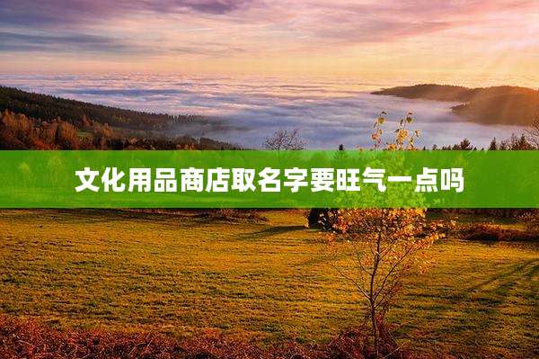 文化用品商店取名字要旺气一点吗