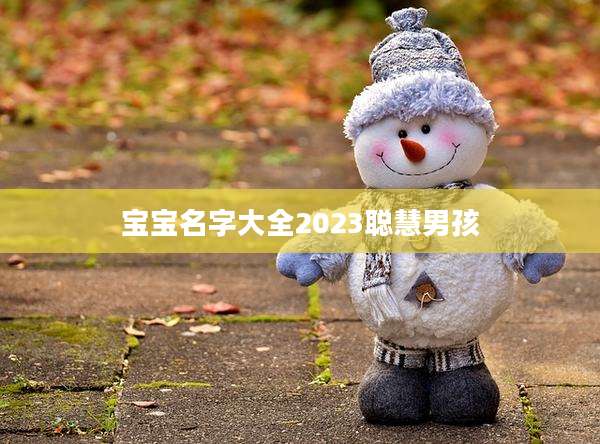 宝宝名字大全2023聪慧男孩