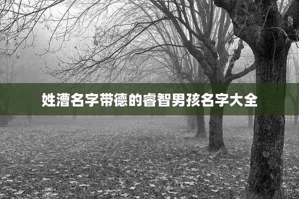 姓漕名字带德的睿智男孩名字大全