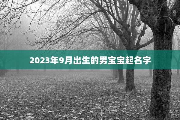 2023年9月出生的男宝宝起名字