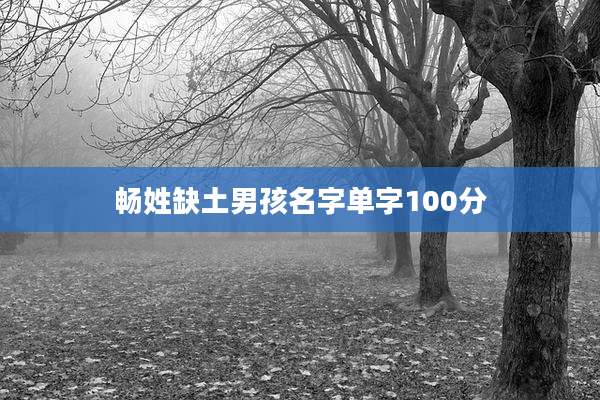 畅姓缺土男孩名字单字100分