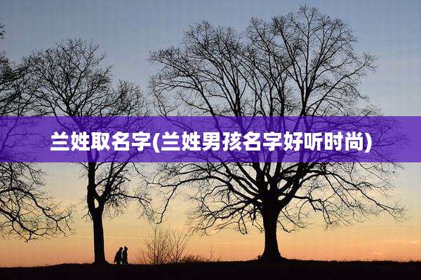 兰姓取名字(兰姓男孩名字好听时尚)