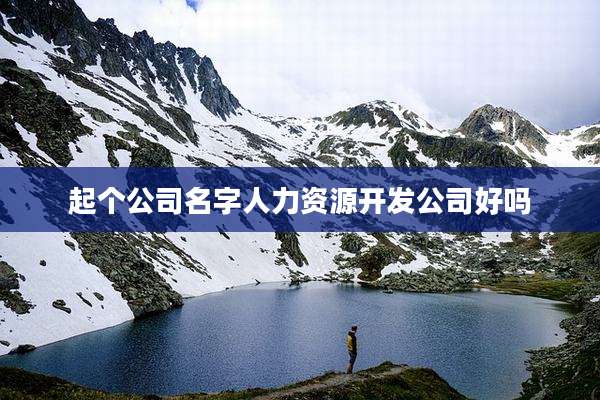 起个公司名字人力资源开发公司好吗