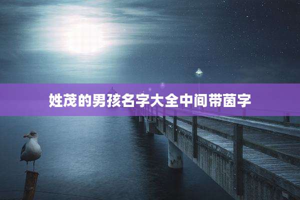 姓茂的男孩名字大全中间带茵字