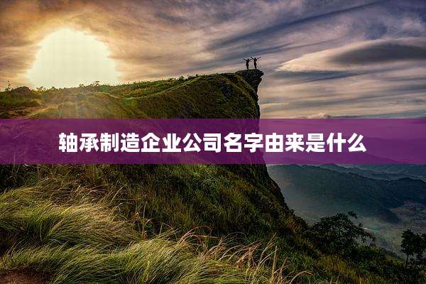 轴承制造企业公司名字由来是什么