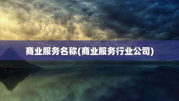 商业服务名称(商业服务行业公司)