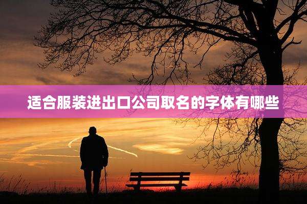 适合服装进出口公司取名的字体有哪些