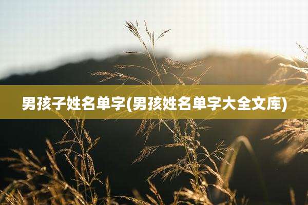 男孩子姓名单字(男孩姓名单字大全文库)