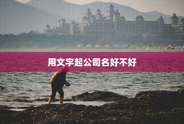 用文字起公司名好不好